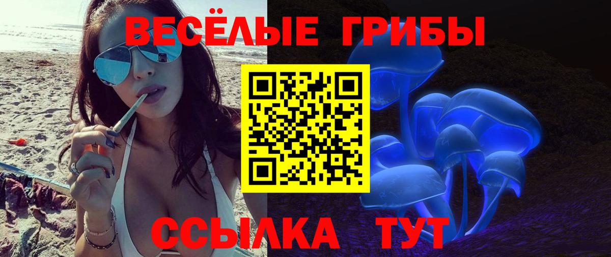 Псилоцибиновые грибы мицелий  как найти наркотики  Гуково  Вход с VPN 