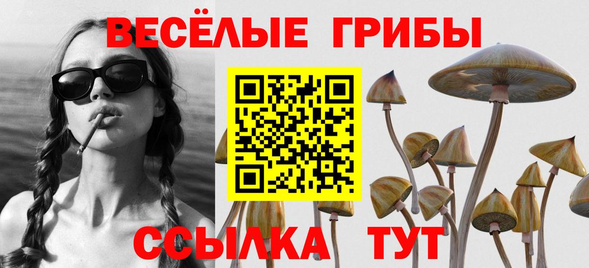 МАРИХУАНА  Вход с VPN  МДМА  ТГК  Гуково  Марихуана  МЕФ кристаллы  ГАШИШ  КОКАИН 